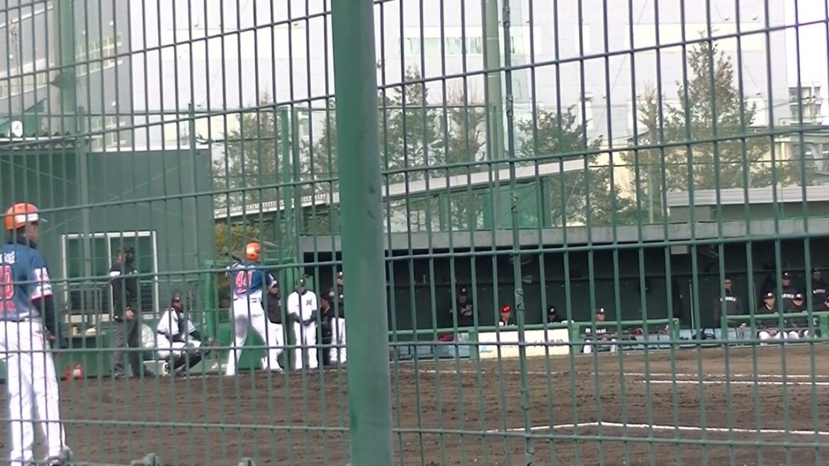 ストライク入らん 乱れる岩下大輝 オイシックス比嘉天佑にフォアボール【千葉ロッテマリーンズ対オイシックス新潟アルビレックスBC2024年3月7日】