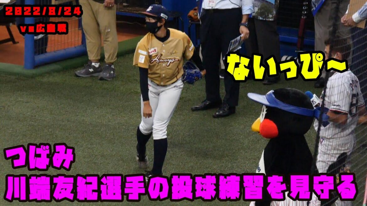 つばみ　川端慎吾の妹さん川端友紀さんの練習みまもる　2022/8/24 vs広島