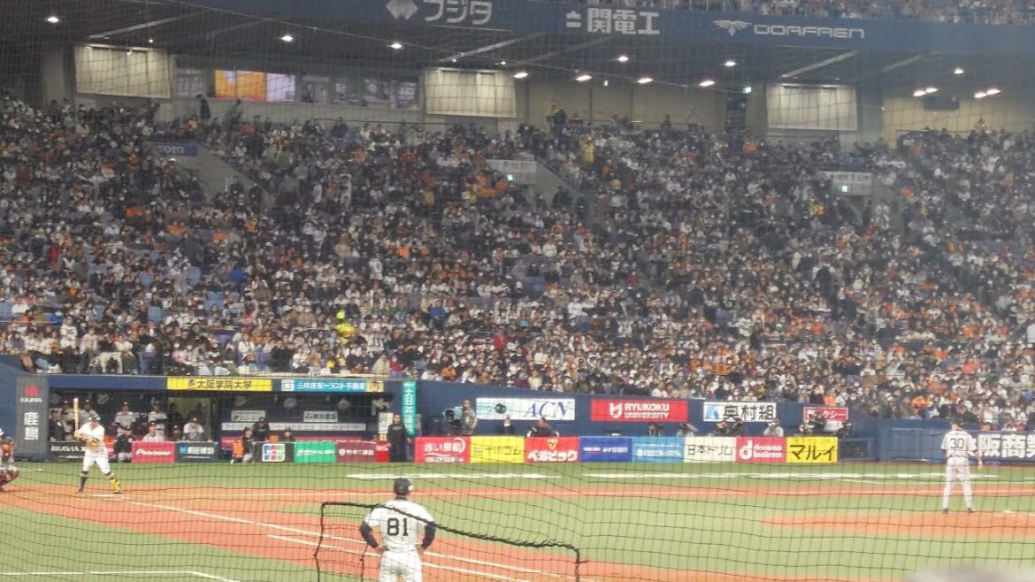 杉本裕太郎 選手 ｢影山ヒロノブ  僕達は天使だった｣ 第3打席(3/9限定) 登場曲 オリックス･バファローズ 選手 @ 京セラドーム 2024 オープン戦 からの 近藤大亮 投手戦 冒頭