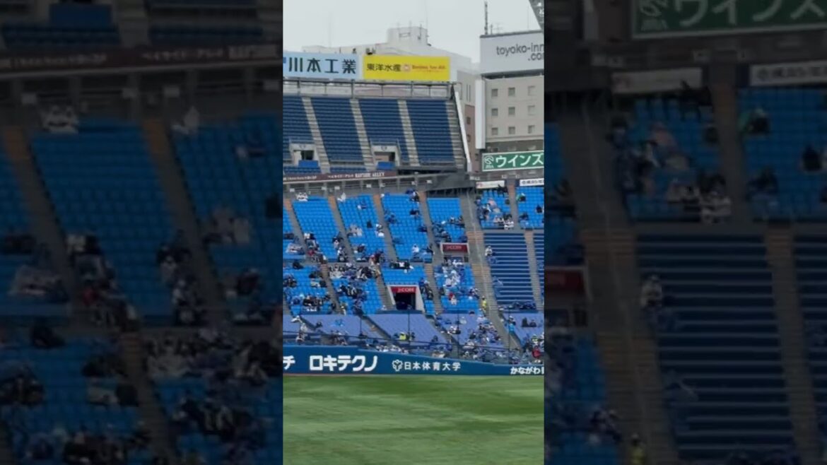 横浜スタジアムでも『FLASH』で登場する佐々木千隼 #baystars #chibalotte #shorts