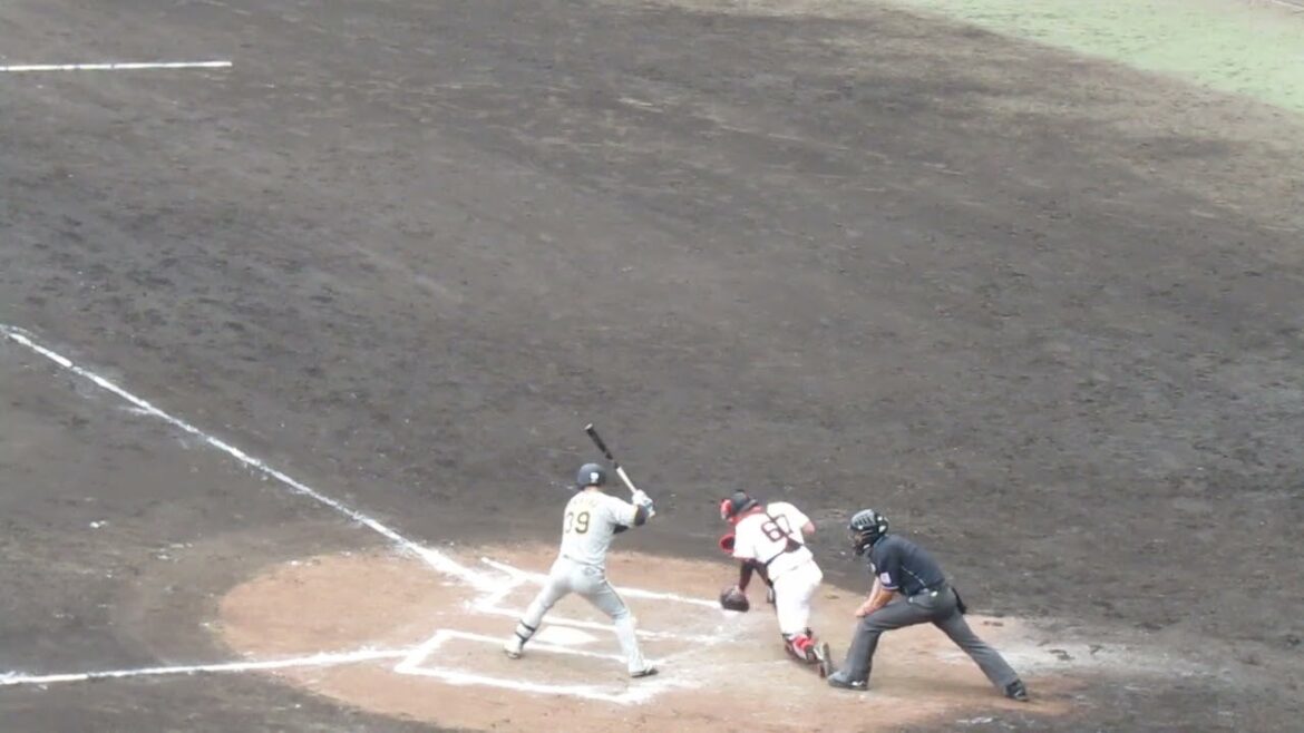 【タイガース】榮枝裕貴2024年 打撃フォーム （巨人阪神オープン戦2024年2月23日）