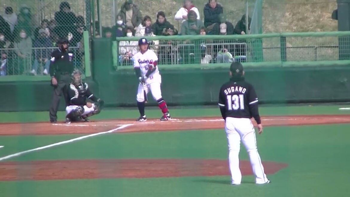 スワローズ三ツ俣大樹がフォアボールを選ぶ2024年3月9日 春季教育リーグヤクルトスワローズ対 千葉ロッテマリーンズ