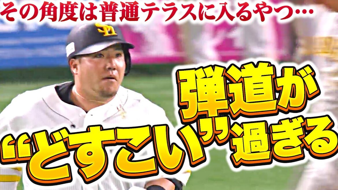 Pacific-League: 【どすこい弾道】山川穂高『戦慄のオープン戦3号…その角度は普通テラスに入るやつ』 【どすこい弾道】山川穂高『戦慄のオープン戦3号…その角度は普通テラスに入るやつ』