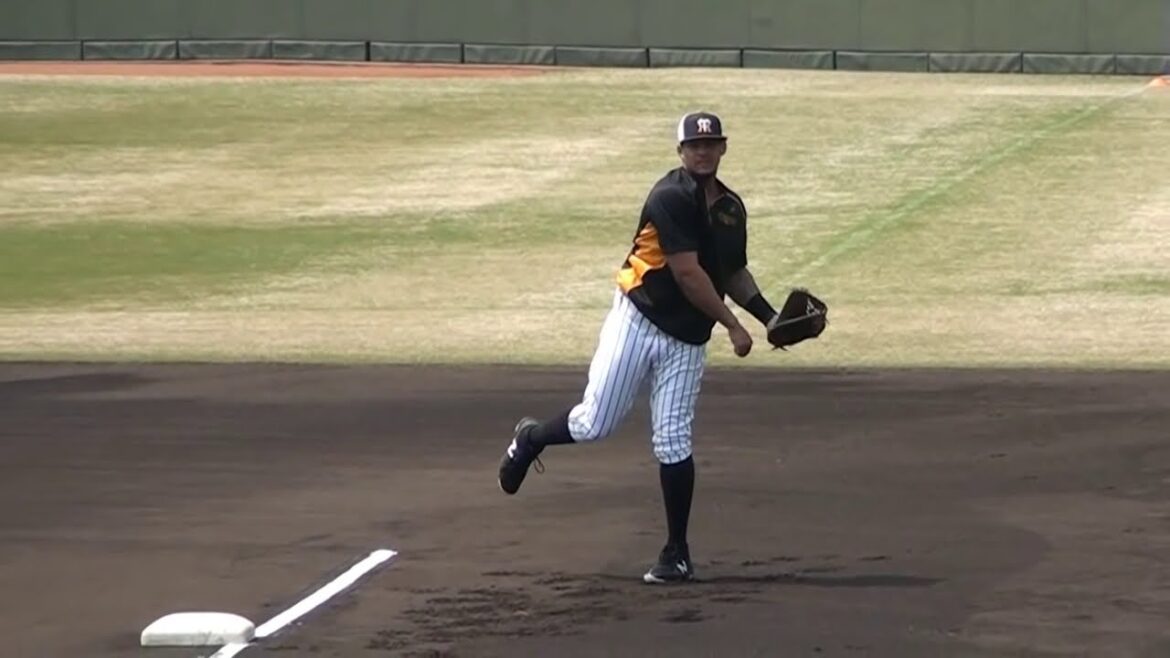 【一軍デビューへ】阪神・マルテの守備練習