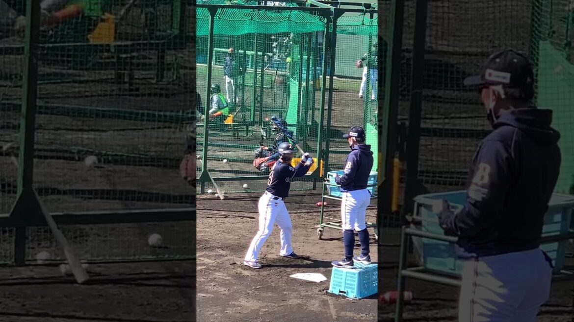 トップを作って反応で打つ！！  #Shorts #吉田正尚