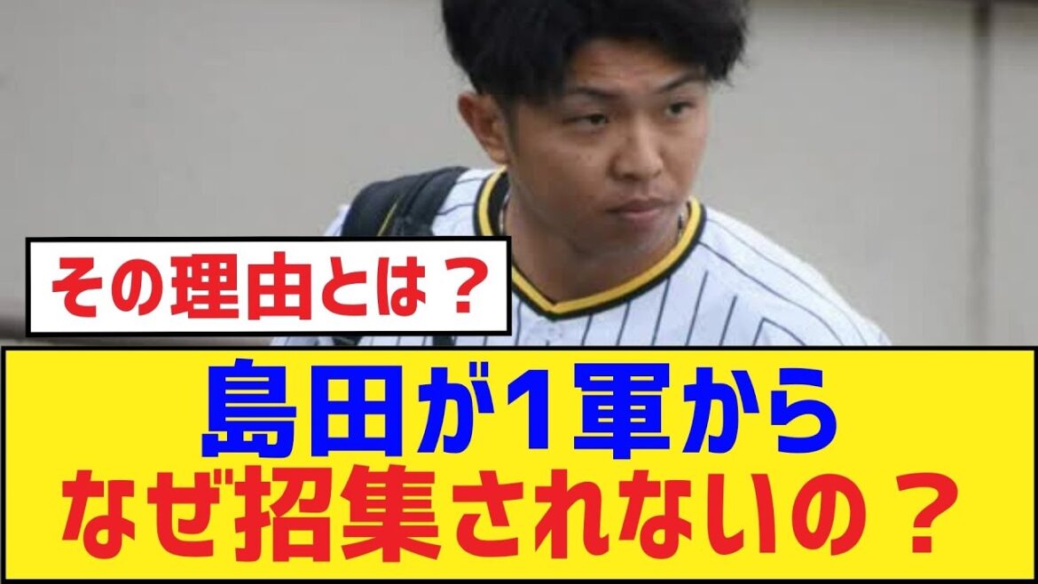 島田が1軍からなぜ招集されないの？【島田海吏・阪神タイガース】
