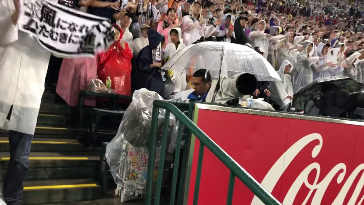 【オールスター2019甲子園】ロッテ 鈴木大地 応援歌 2019.7.13