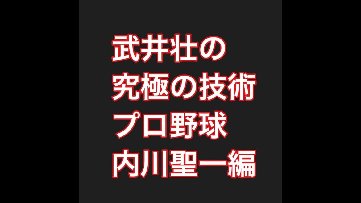 『武井壮の究極の技術』プロ野球・内川聖一編 『武井壮の究極の技術』プロ野球・内川聖一編
