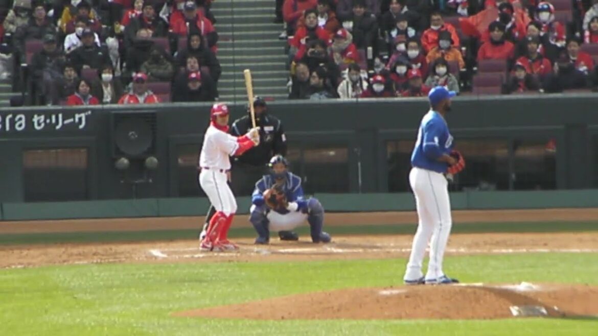 【2024 オープン戦】広島カープ 田中 広輔のバッティングフォーム_2024030904