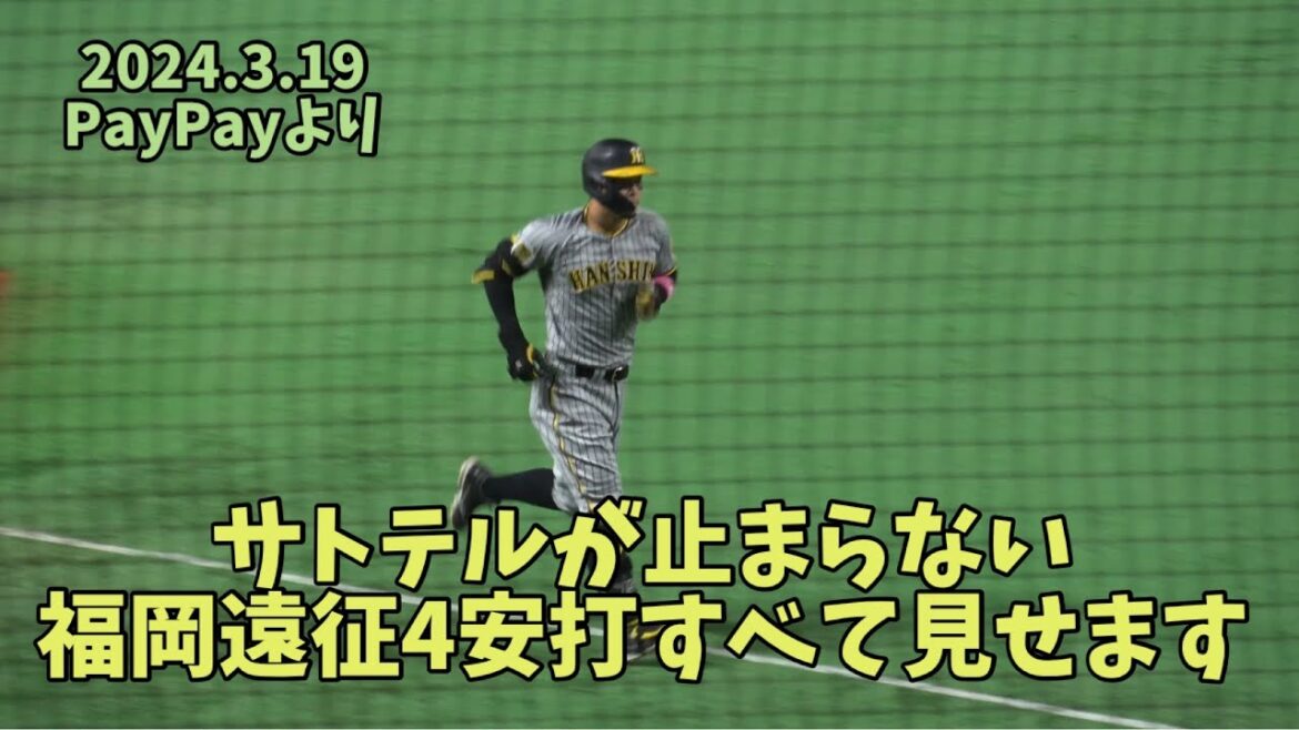 福岡遠征🍜阪神タイガース佐藤輝明ホームランを含む4安打‼️全打席シーン🎬和田毅＆オスナ撃ち⚾️ソフトバンクホークス対阪神タイガース⚾️2024.3.19⚾️