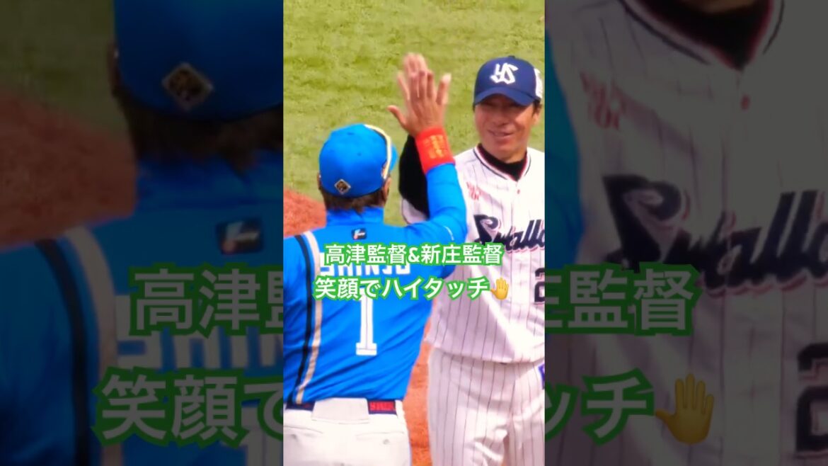 高津監督　新庄監督と笑顔でハイタッチ🤚　#swallows #高津臣吾 #新庄剛志 #オープン戦 #新庄監督 #つば九郎