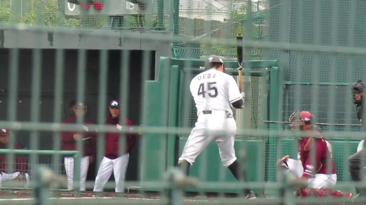 ロッテ 植田将太2024バッティングフォーム（春季教育リーグ 千葉ロッテマリーンズ対 楽天ゴールデンイーグルス） ＃2024年3月5日