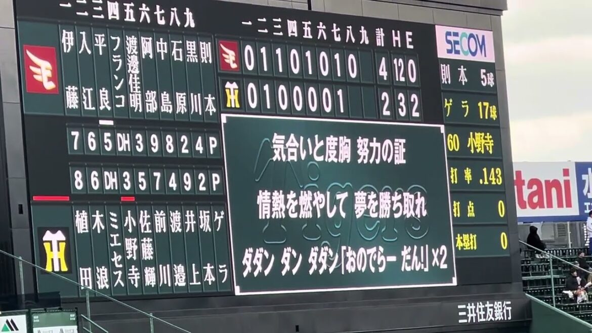 【新応援歌 初披露】#阪神 #小野寺暖  選手 第一打席  24.3.6. 🆚🏟️#阪神甲子園球場