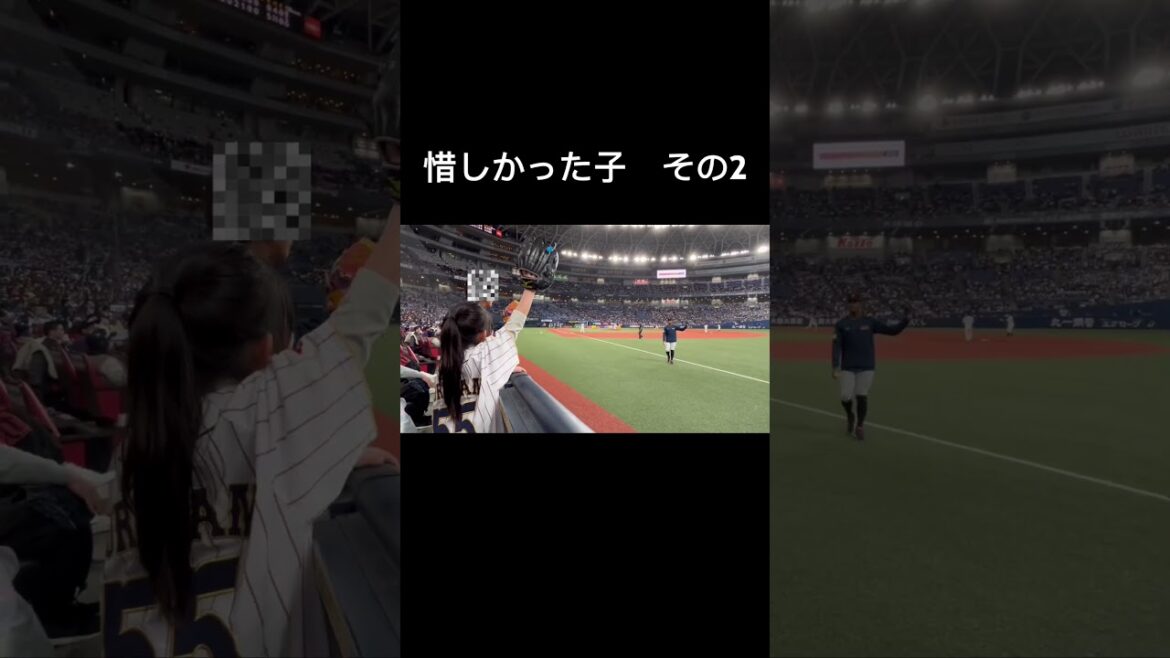 惜しかった子②【万波中正選手】#野球 #万波中正 #万波 #侍ジャパン #メモラビリア #memorabilia #baseball #mlb