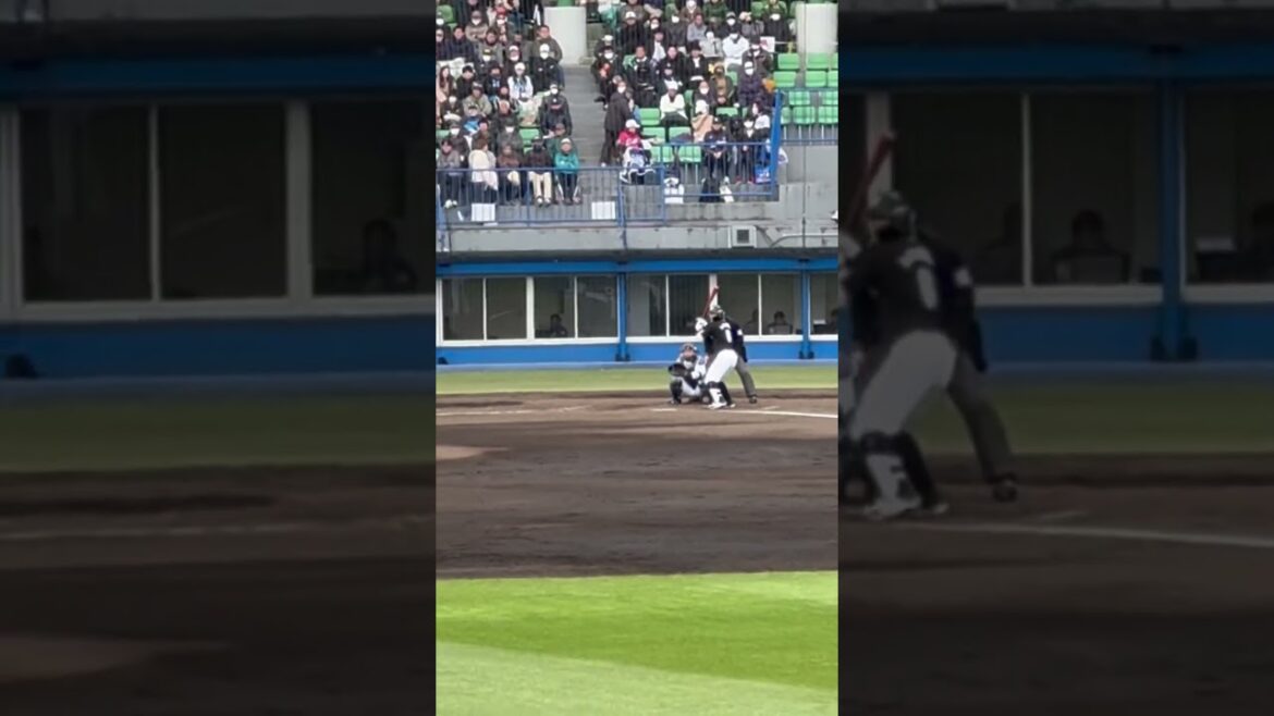 2024年 中村奨吾 応援歌