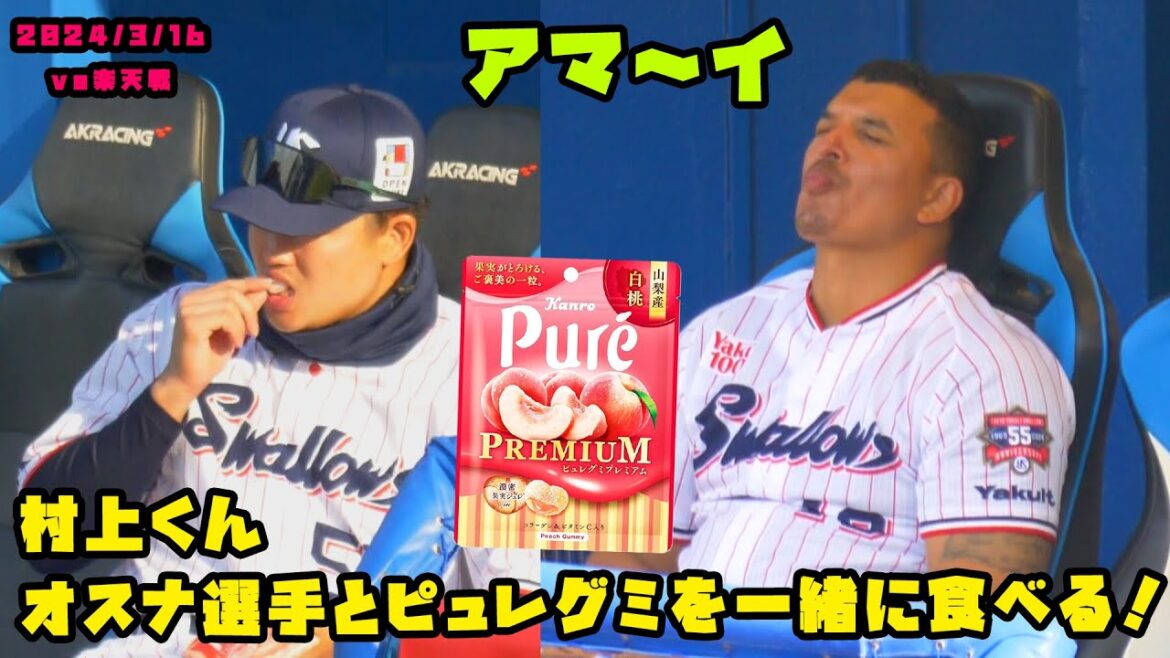 村上くん オスナ選手や嘉弥真くんと一緒にグミを食べる! 2024/3/16 vs楽天 村上くん オスナ選手や嘉弥真くんと一緒にグミを食べる! 2024/3/16 vs楽天