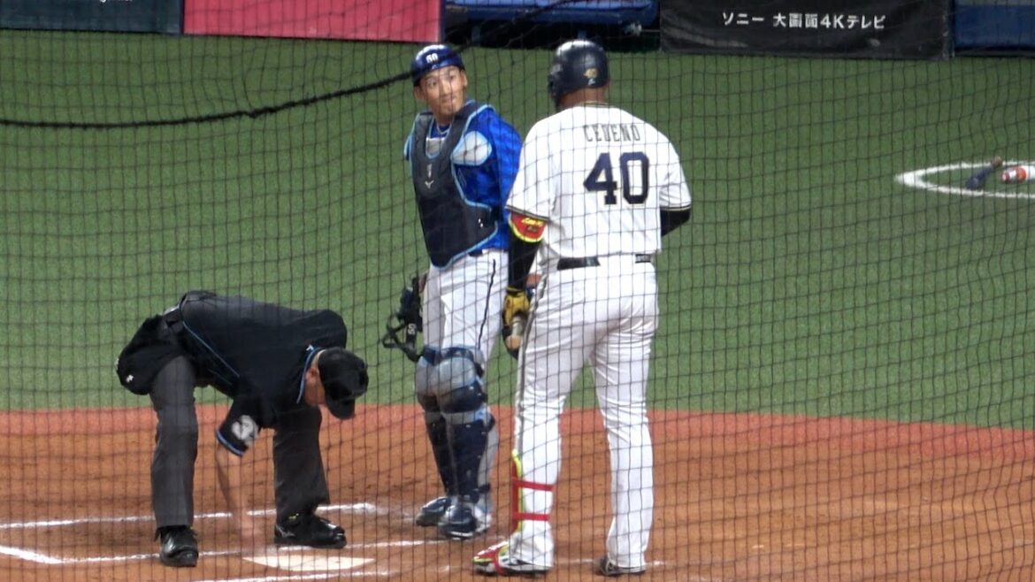 ブロッキングするも捕逸してしまったDeNA山本に声をかけるセデーニョ