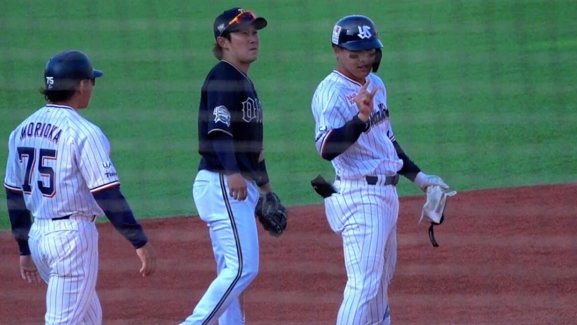 【あとちょっと】激走スリーベース赤羽由紘！ホームランならずも大飛球！ヤンスワもベテランに負けじとアピール！2024/03/17 オープン戦 神宮球場 東京ヤクルトスワローズ