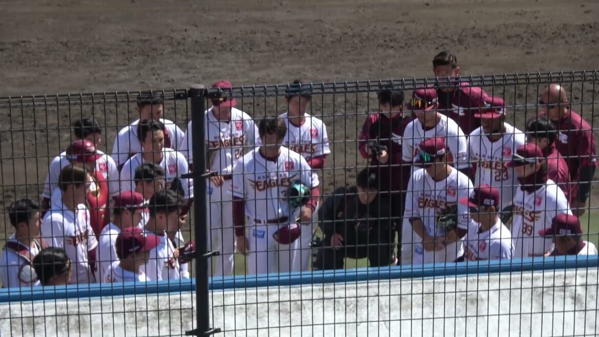 東北楽天ゴールデンイーグルス 野手陣の試合前円陣 伊藤裕季也選手が声出し ? 2024/3/13 草薙球場 VS オリックスバファローズ
