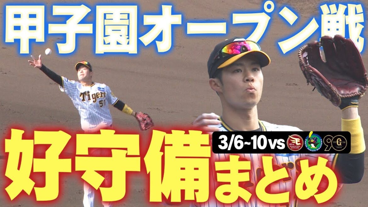 【OP戦】甲子園でのオープン戦で飛び出した好守備をまとめました！阪神タイガース密着！応援番組「虎バン」ABCテレビ公式チャンネル