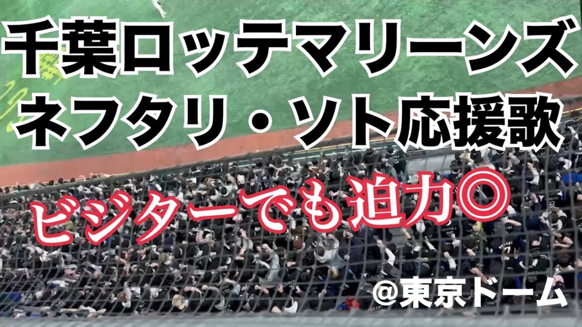 千葉ロッテマリーンズ ネフタリ・ソト応援歌