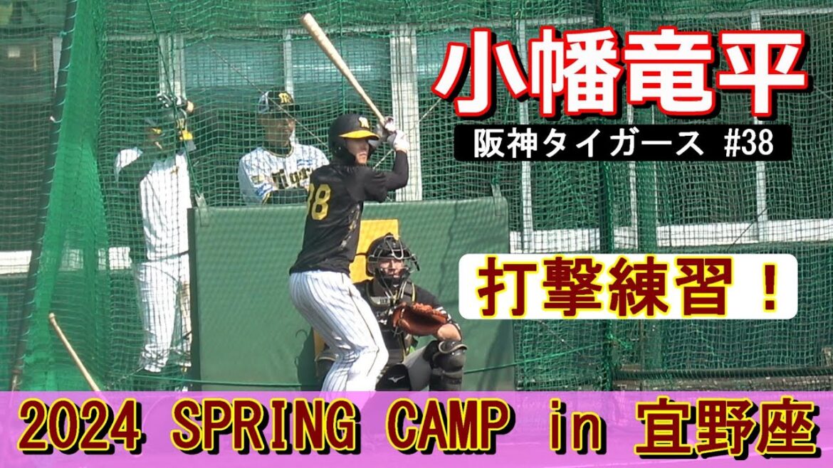 【2024春季キャンプ】小幡竜平・・・フリーバッティング‼【阪神タイガース】