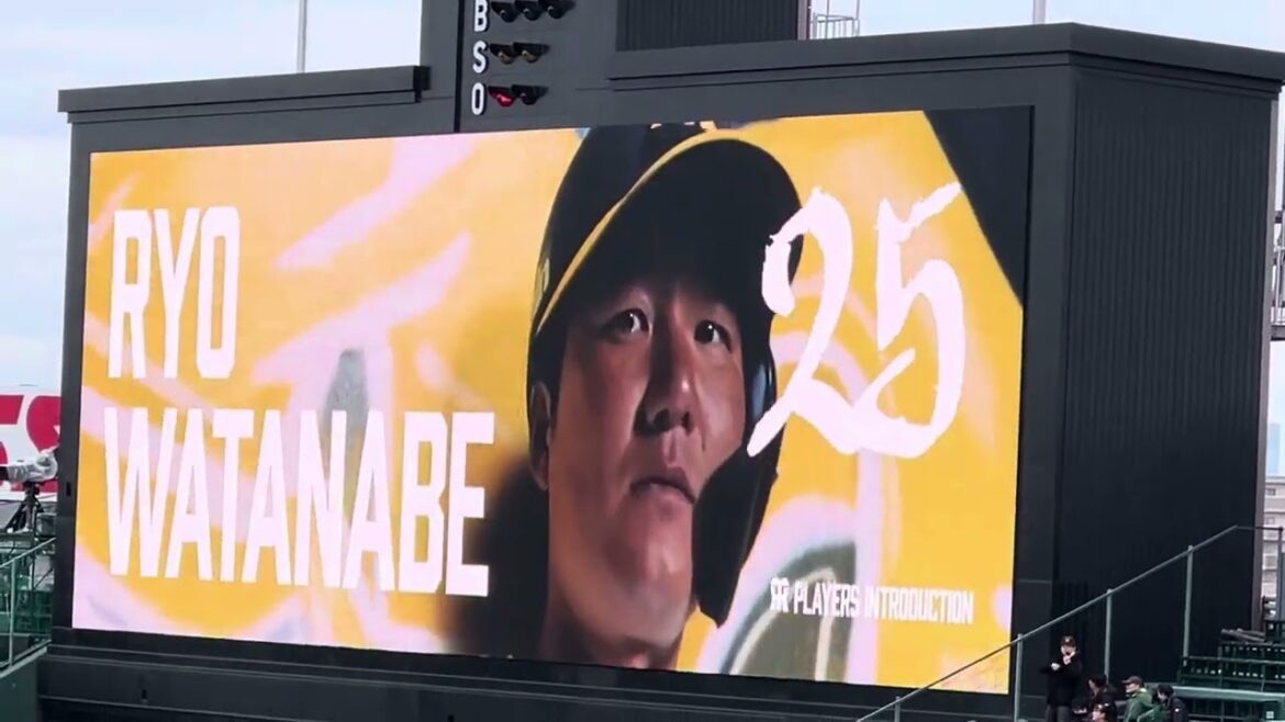 【24.🆕】  #阪神 #渡邉諒 選手 登場曲ビジョン 24.3.6.  阪神甲子園球場 OP戦 第一打席