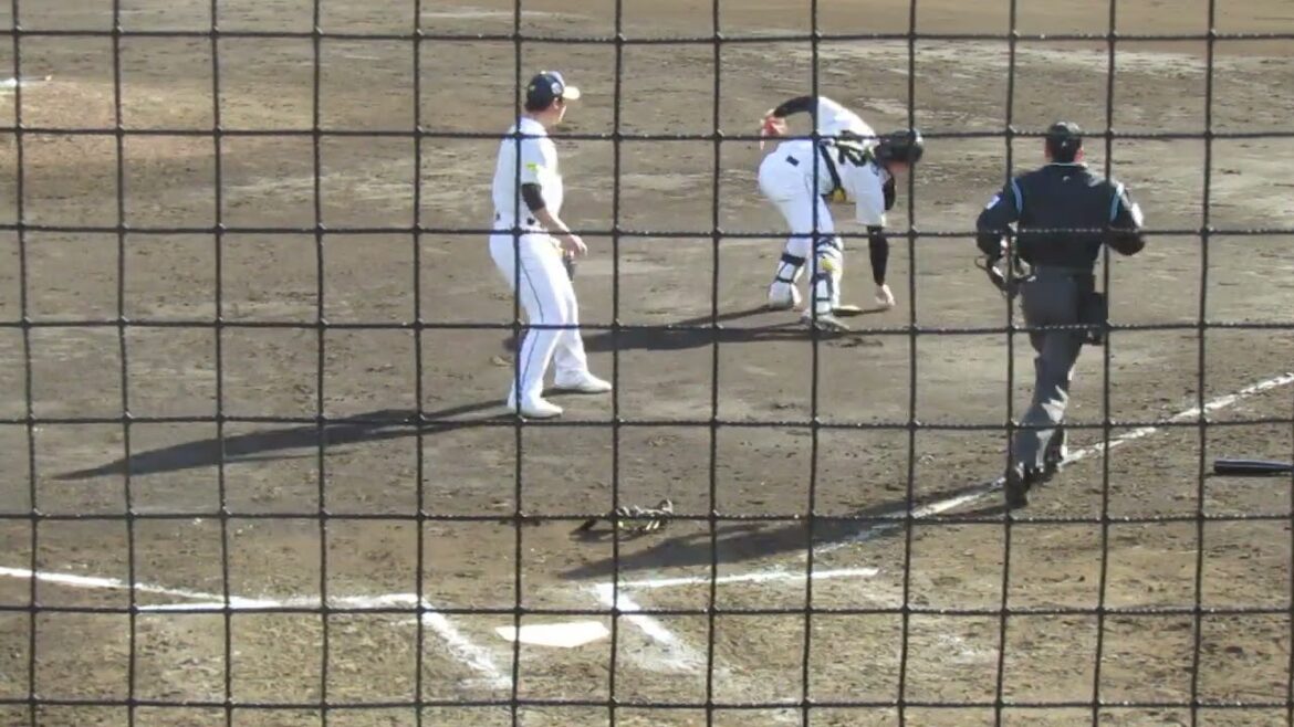 立岡宗一郎の上手い送りバント（練習試合 読売ジャイアンツ対 尚武フェニックス2024年3月3日）