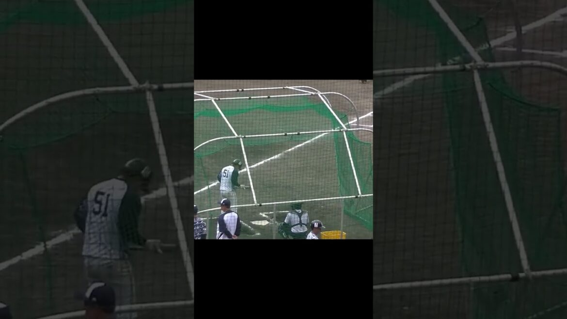 【ヤクルトキャンプ】濱田太貴のフリーバッティング【春季浦添キャンプ ヤクルトスワローズ2024年2月20日】