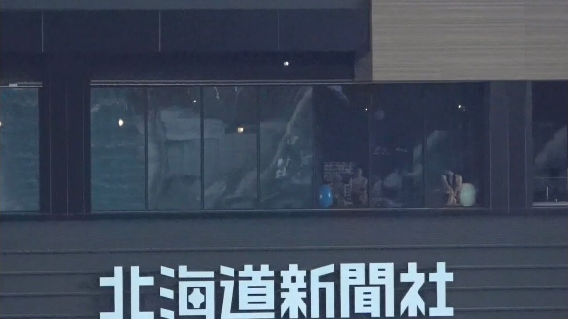 サウナにぶちこみそうな宮﨑敏郎の豪快なバッティング練習！ホームラン 2024/03/23 エスコン オープン戦 横浜DeNAベイスターズ