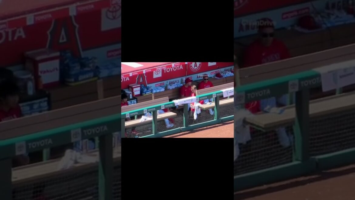 踊るスアレス イタズラ返しする大谷選手w  #shorts #大谷翔平 #shoheiohtani #エンゼルス #angels #現地映像 #mlb #angelstadium