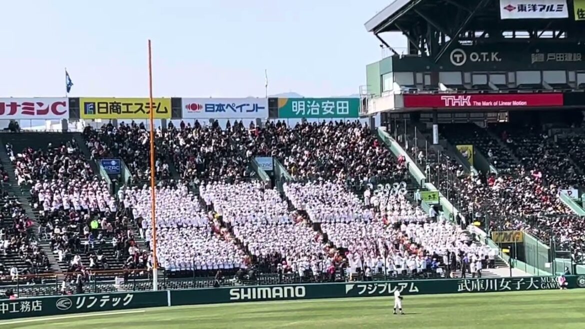 第96回選抜高校野球　大阪桐蔭　応援　「森友哉選手応援歌DEEP RED」