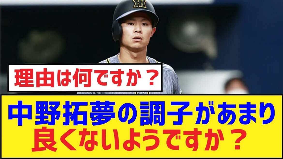 中野拓夢の調子があまり良くないようですか？【中野拓夢・阪神タイガース】