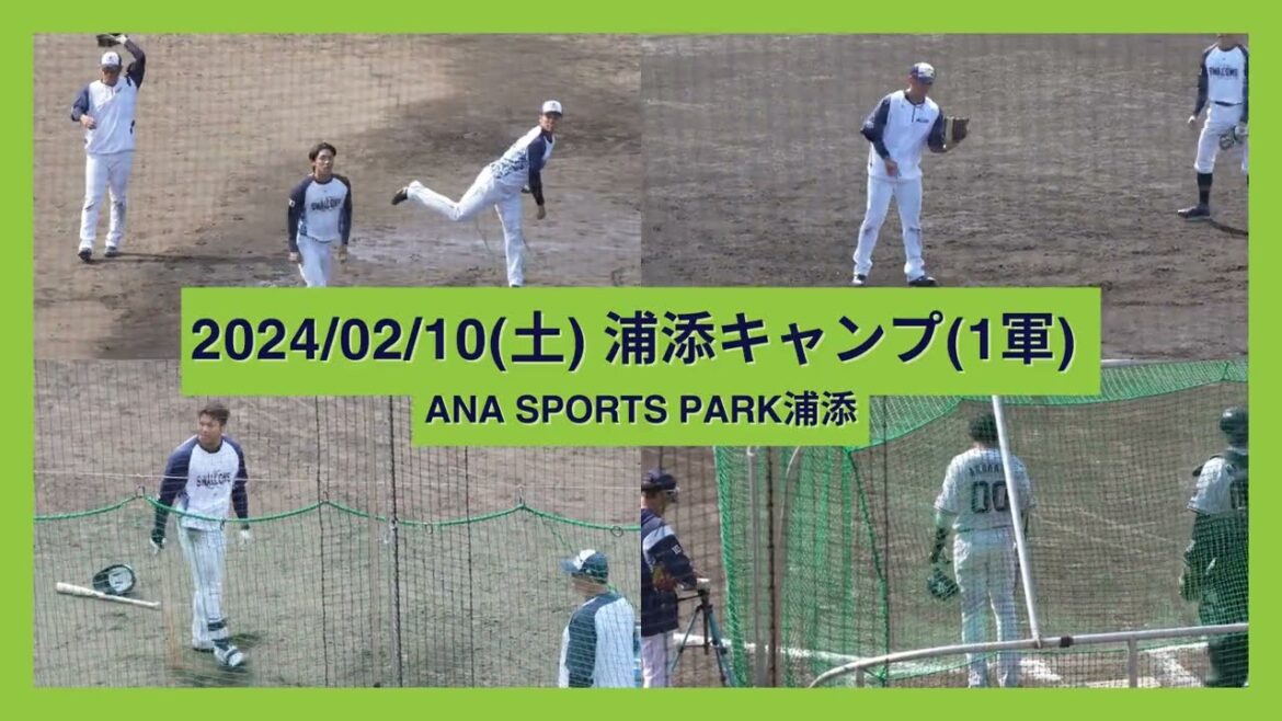 【2024春キャンプ(1軍)】浦添-ノック・トス/フリーバッティングまとめ 【2024春キャンプ(1軍)】浦添-ノック・トス/フリーバッティングまとめ
