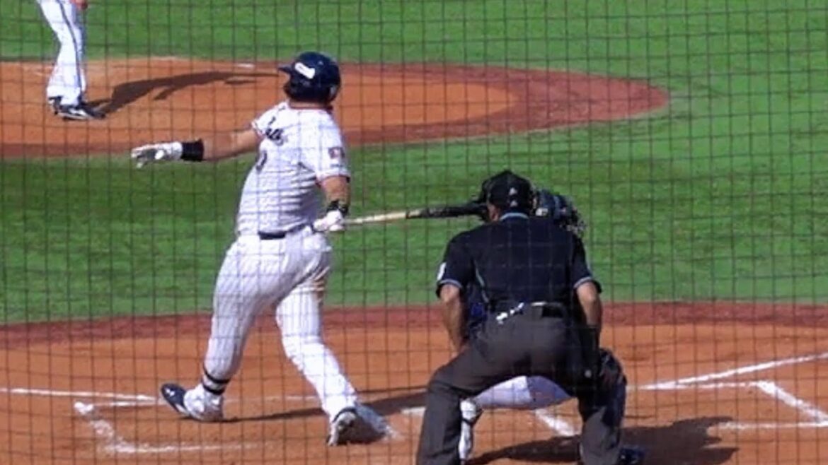 オスナの空振りが石川亮の頭に当たり神宮ヒヤリ… オリックス・バファローズ 対 東京ヤクルトスワローズ 2024/03/17 オープン戦 神宮球場