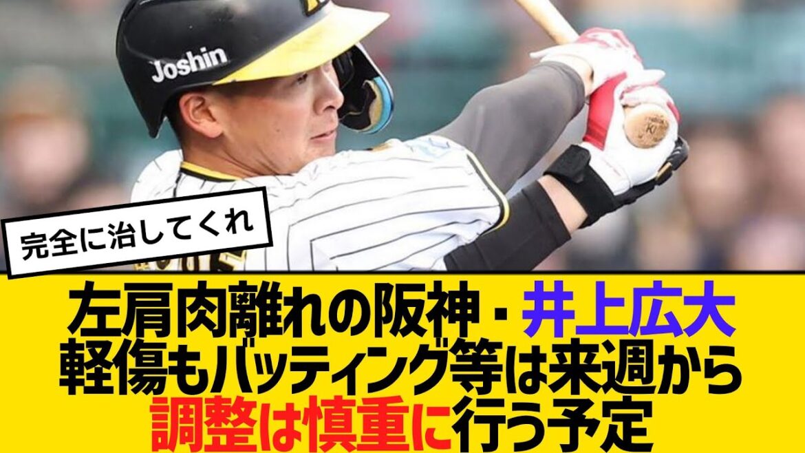 左肩肉離れの阪神・井上広大、軽傷もバッティング等は来週から。調整は慎重に行う予定　【2ch】【5ch】【反応】