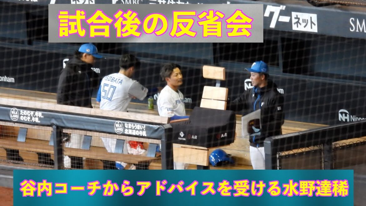 【20240323】試合後の反省会（谷内亮太＆水野達稀）（日本ハム対横浜ベイスターズ）