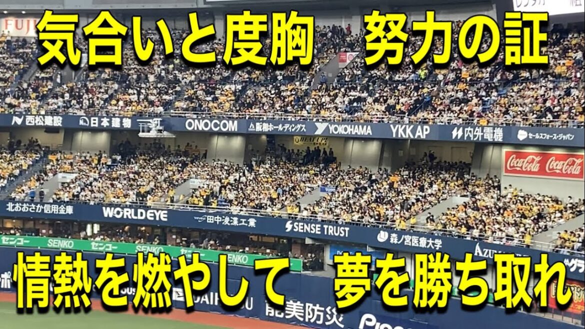 2024.3.23 【コールがクセになる】小野寺暖選手応援歌