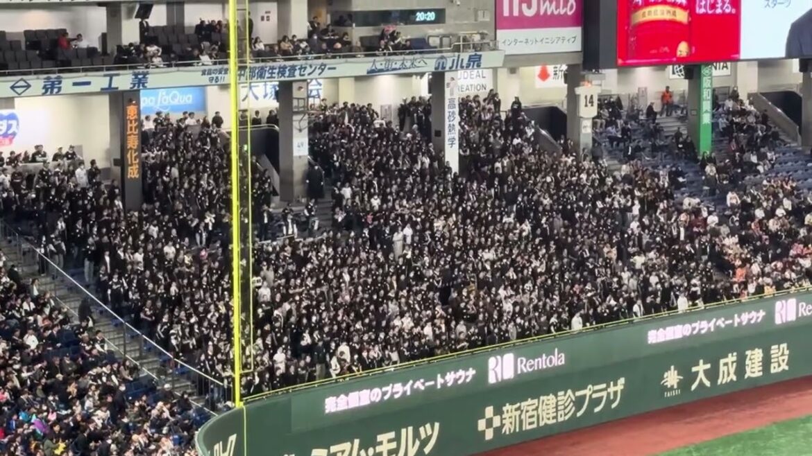 石川慎吾 応援歌 2024/3/19 オープン戦 巨人 vsロッテ