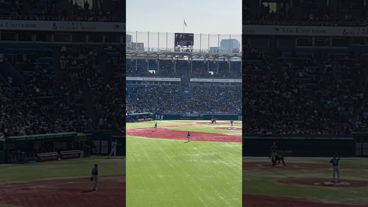 【登場曲】東京ヤクルトスワローズ ♯7 長岡秀樹「Heads or Tails」