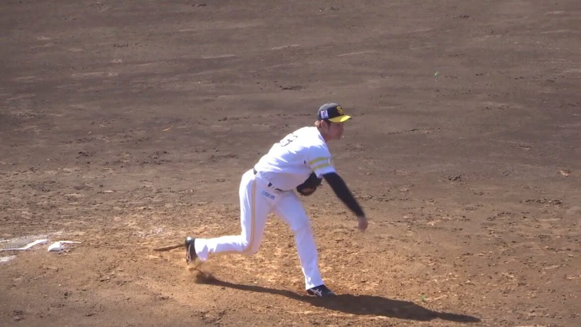 武田翔太選手（ホークス / 宮崎日大高卒）の投球フォーム
