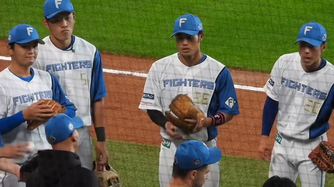 【日本ハム】全体練習レイエスと万波中正に注目してみた　エスコンフィールド北海道日本ハムVS横浜DeNA