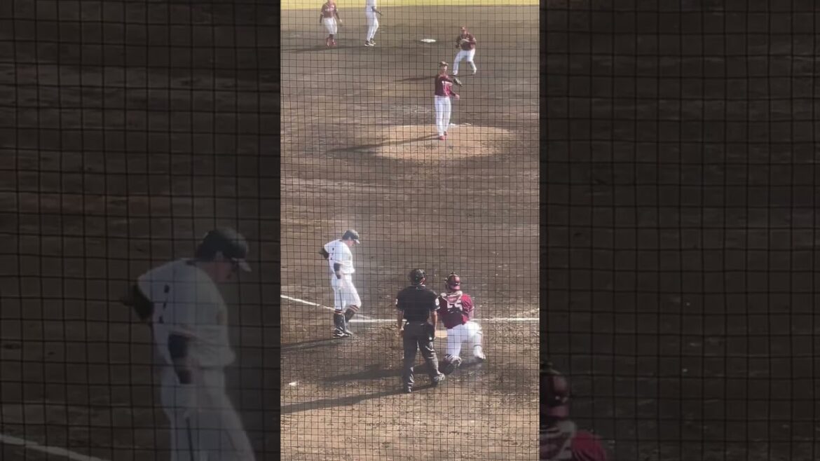 長野久義　全4打席ノーカット　イースタン・リーグ 2024読売ジャイアンツ × 東北楽天ゴールデンイーグルス ～読売ジャイアンツ球場～ （3/17開催）