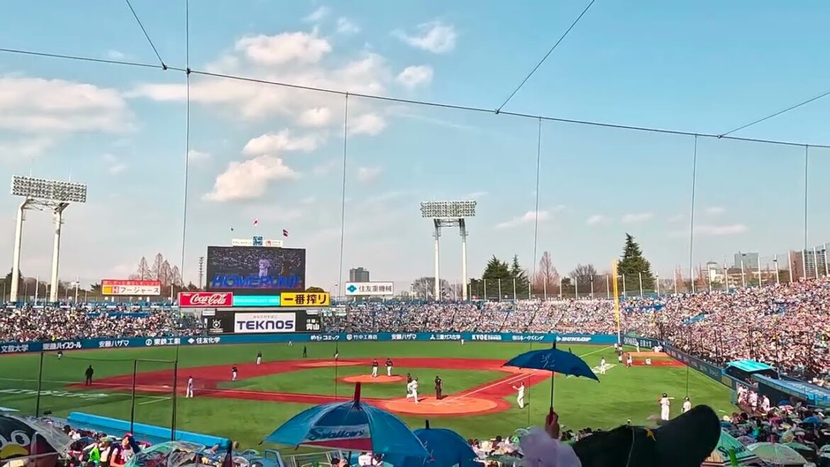 2024/3/17 ヤクルト 村上宗隆 ホームラン 神宮球場オープン戦