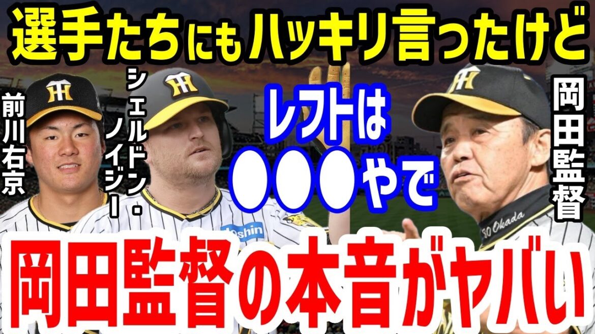 【プロ野球】阪神・岡田監督「戦力になる奴は…」レフトのレギュラー争いの評価がヤバい…シェルドン・ノイジーや前川右京、小野寺暖・井上広大と野口恭佑への発言も【NPB/野球】 【プロ野球】阪神・岡田監督「戦力になる奴は…」レフトのレギュラー争いの評価がヤバい…シェルドン・ノイジーや前川右京、小野寺暖・井上広大と野口恭佑への発言も【NPB/野球】