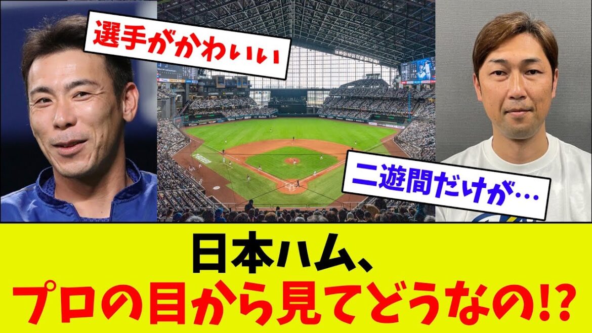 【ぶっちゃけどうよ？】今年は違うの？日ハムをプロの視点から分析！　その結果…