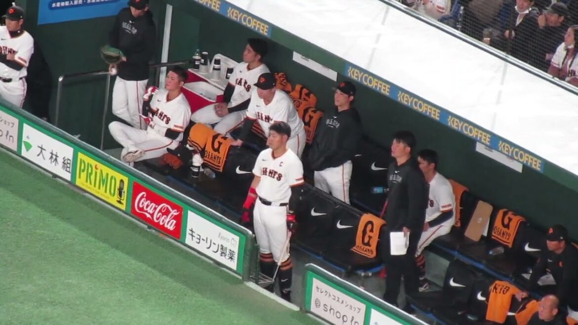 岡本和真と坂本勇人ベンチでタイミング合わせたり（ 読売ジャイアンツ対 楽天ゴールデンイーグルス2024年3月22日）