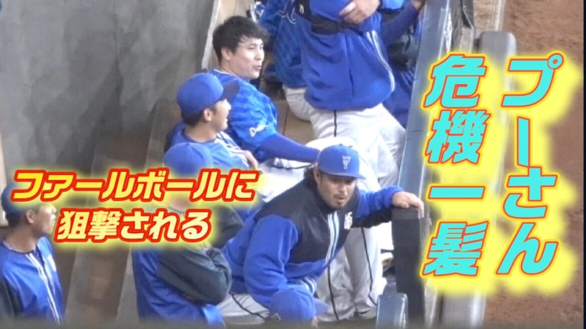 【狙撃】これがリアル・プーさんのハニーハントか…ファールボールがベンチに飛び込み宮﨑敏郎が九死に一生！2024/03/23 エスコン オープン戦 横浜DeNAベイスターズ
