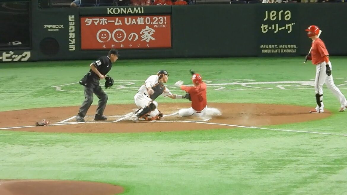【サインプレー】大城・坂本、広島のホームスチームを読んで見事な連携でホームアウトに！【巨人】2023.5.12 広島戦
