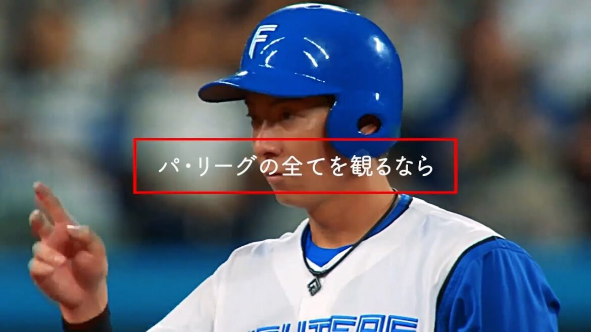 【ファイターズver】2024年シーズン球場ビジョン映像